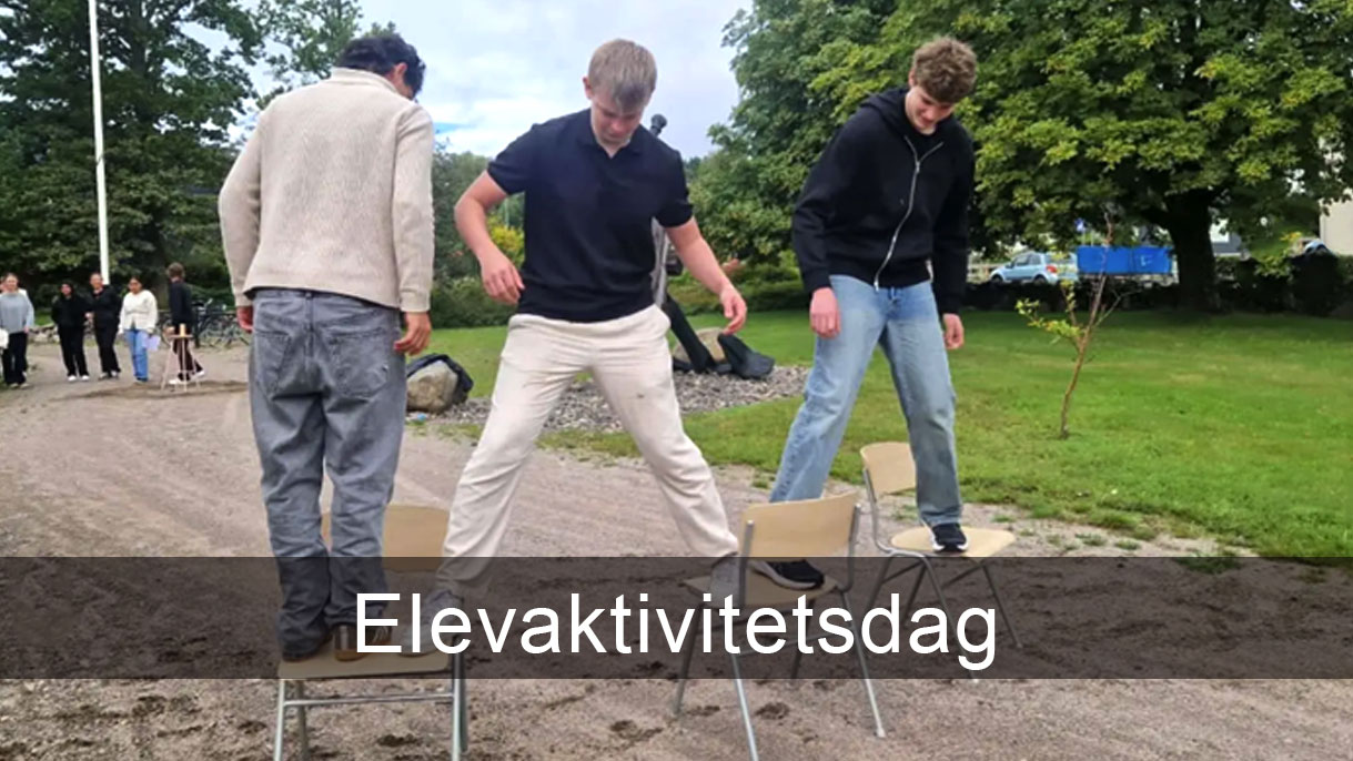 Exempelbild